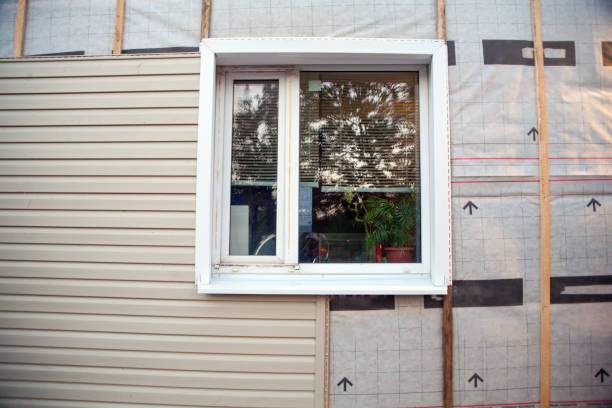 Best Custom Trim and Detailing for Siding  in Newstle, CA